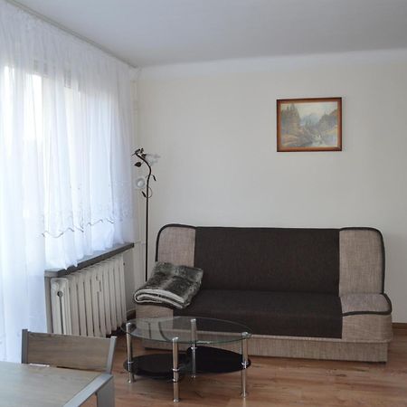 Apartament Ustrzyki Ustrzyki Dolne Ngoại thất bức ảnh