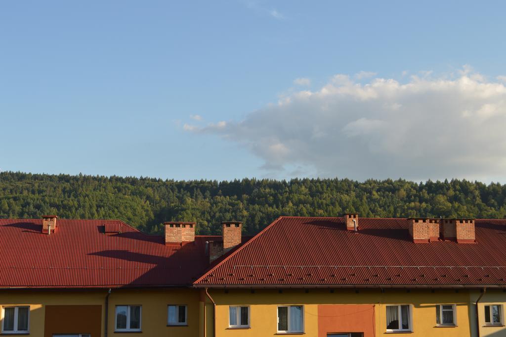Apartament Ustrzyki Ustrzyki Dolne Ngoại thất bức ảnh
